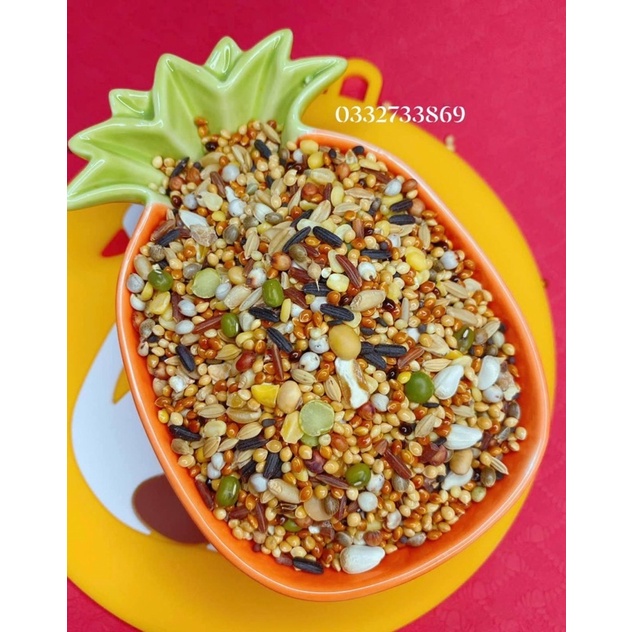 Thức ăn cho chim Cu Gáy , Ngũ cốc đặc biệt 20 loại hạt dinh dưỡng ( Cu gáy. gà đá. yến phụng.