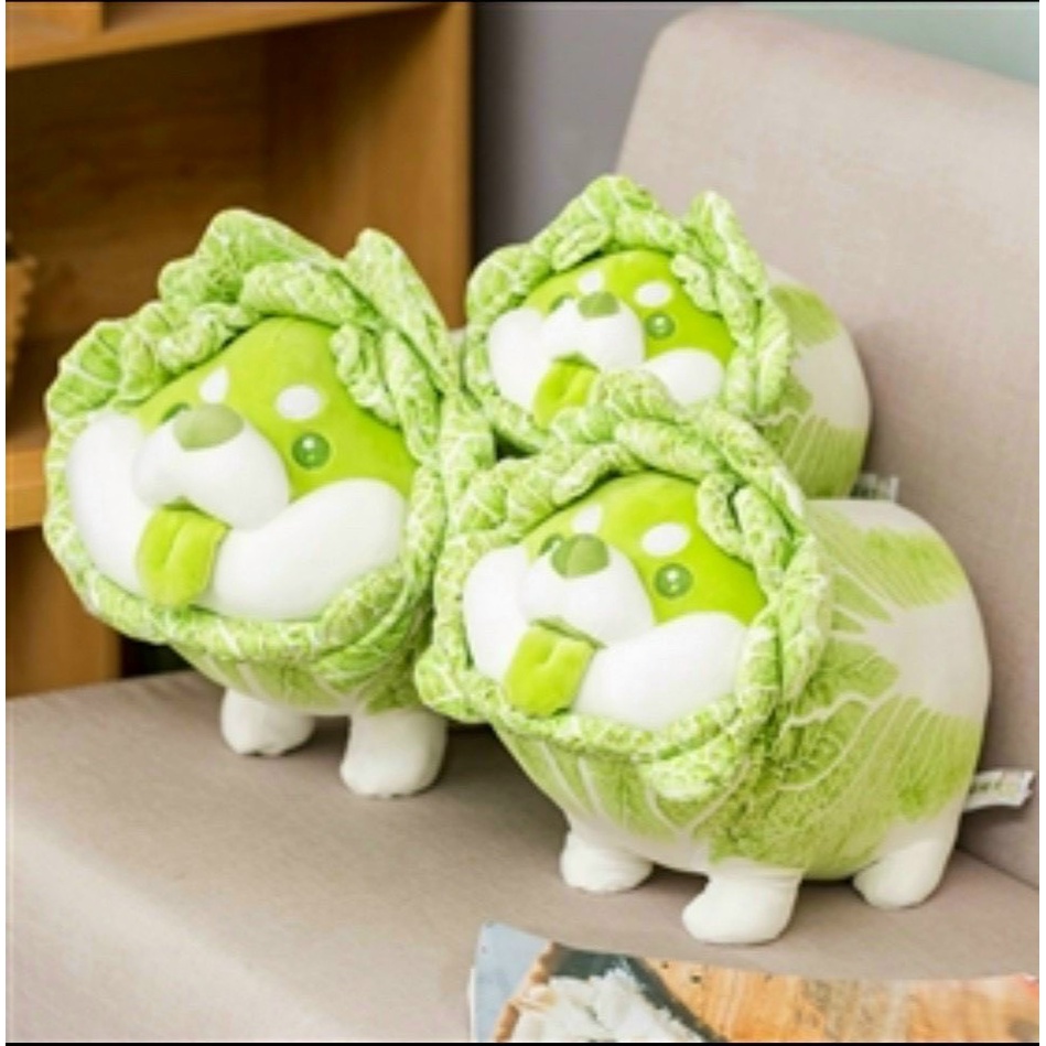 Gấu bông chó shiba bắp cải Vegetable Fairy siêu dễ thương kích thước 30-50-60cm NEOCI