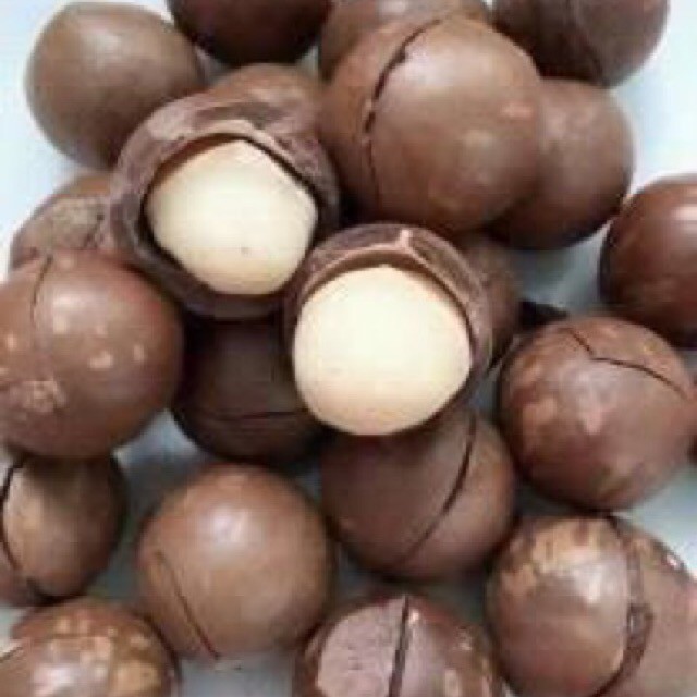 500gr Hạt Macca nứt vỏ tự nhiên
