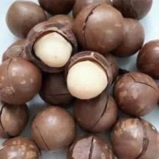 500gr Hạt Macca nứt vỏ tự nhiên