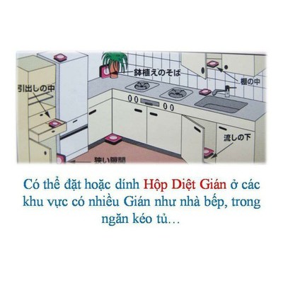 Hộp đuổi gián 12 viên - Nhật nội địa