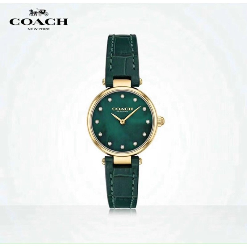 Đồng hồ nữ Coach 24mm