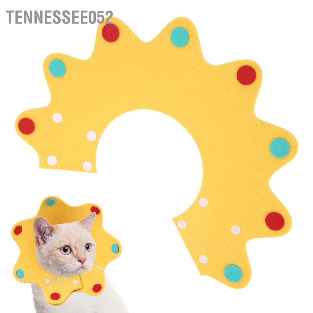 Tennessee052 Cổ áo phục hồi mèo có thể điều chỉnh thời Elizabeth thoải mái cho chó Cún con Kitty