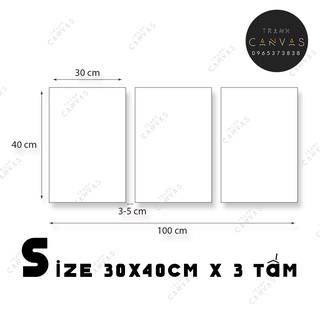 Tranh canvas bộ 3 tấm Bình Hoa