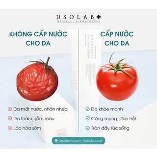 Serum Cấp Ẩm - Cấp Nước HA Usolab
