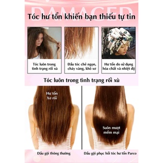 COMBO 2 CHAI DẦU GỘI PHỤC HỒI PARCO