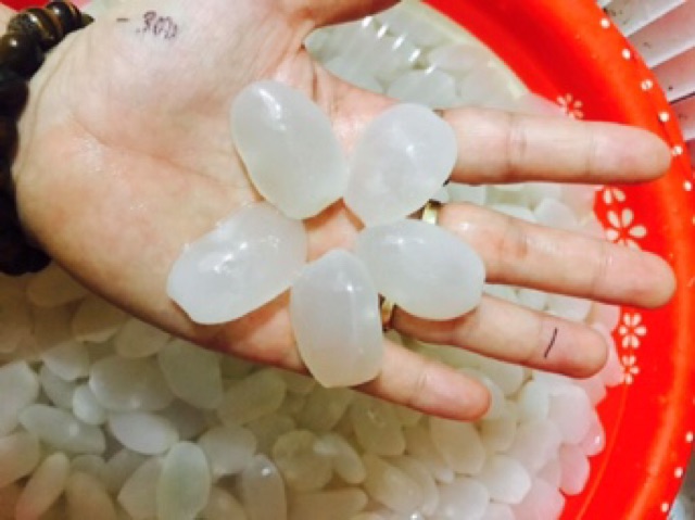 Đác rim 1kg | BigBuy360 - bigbuy360.vn