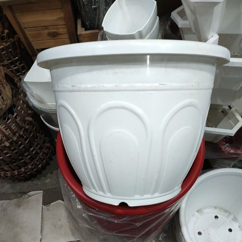 chậu nhựa trồng cây