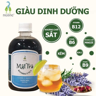 Mật Trà Kombucha Thảo Mộc 500ml