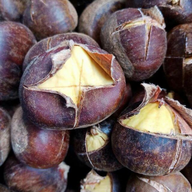 Combo 2kg Hạt dẻ sống ( loại 1)