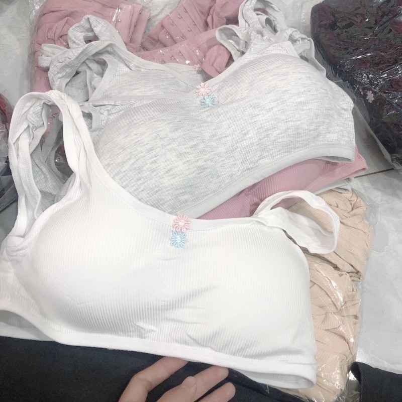 Áo lá học sinh đi học có móc cài [Siêu Sale [Ảnh thật [Chính hãng | BigBuy360 - bigbuy360.vn