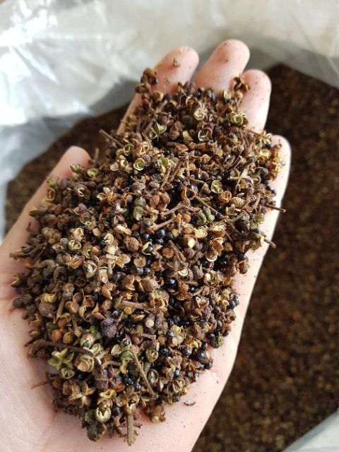 Hạt Mắc khén rừng gói 100g