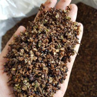Hạt Mắc khén rừng gói 100g