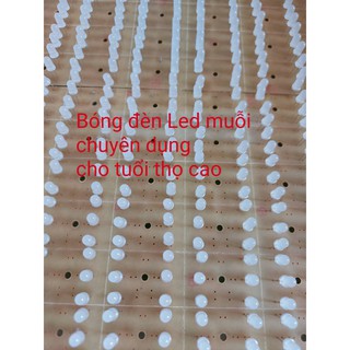 Đèn bắt muỗi Huba - hiệu quả - 2 năm bảo hành