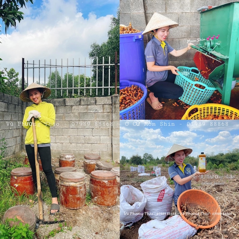 THOA MẶT NGHỆ GẤC HẠ THỔ Ở CỮ VŨ PHƯƠNG THẢO MẸ SHIN