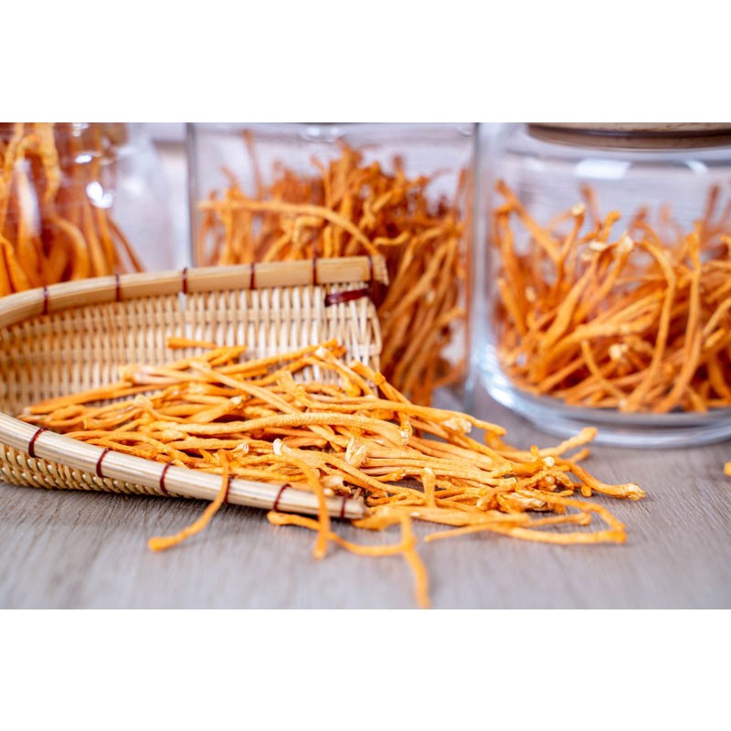 Cordyceps - Đông trùng hạ thảo SPICESUPPLY Việt Nam sợi khô Hũ 30g