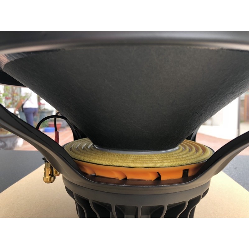 Bass 40 từ neo