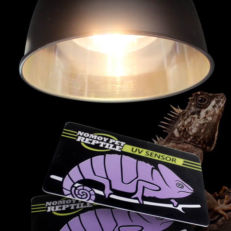 Thẻ đo uvb chuyên dụng Nomoy Pet - thẻ test đèn UVB - test uv ngoài trời