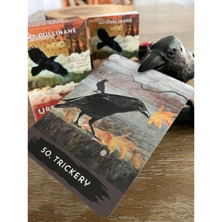 Bài Urban Crow Oracle