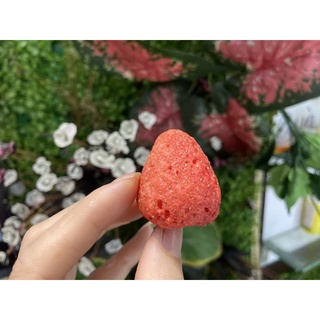 Dâu Tây sấy giòn không đường 100gr chua chua ,ngọt ngọt ,giòn giòn