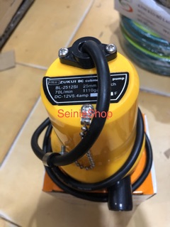 Máy bơm chìm 12V ( bơm thả)
