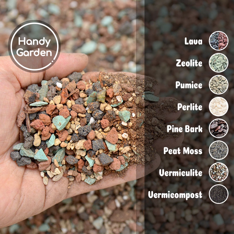 Handy Soil 200g - Đất Trồng Sen Đá Mùa Mưa Sài Gòn