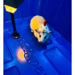 ĐÈN TRANG TRÍ CHUỒNG CHO HAMSTER