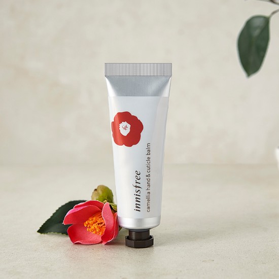 Sáp dưỡng da tay và móng tay hương hoa trà innisfree Camellia Hand And Cuticle Balm EX 50ml | BigBuy360 - bigbuy360.vn