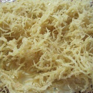 Rong sụn muối (rong sụn gai) (1kg)