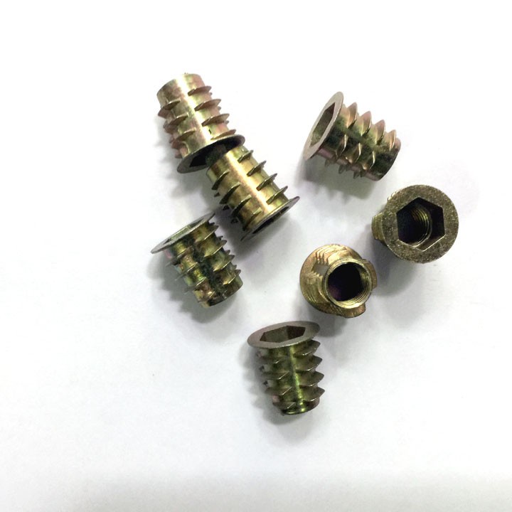 Ốc cấy gỗ ( ốc chôn)