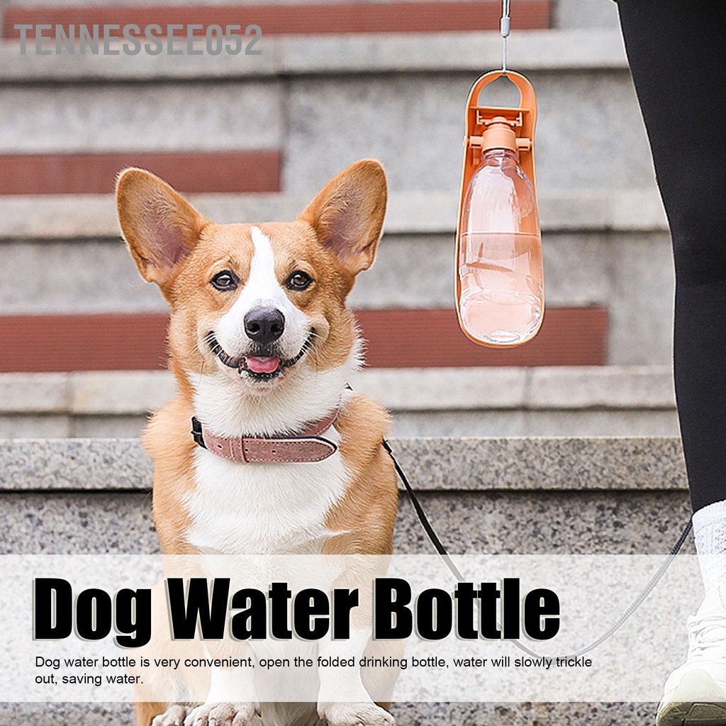 Tennessee052 Bình nước cho chó Gấp di động thú cưng Đi bộ ngoài trời đường dài Du lịch 550ml