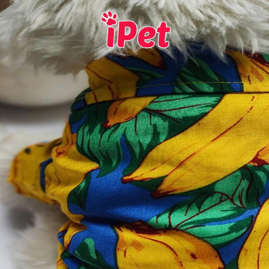 Áo sơ mi họa tiết trái cây cho thú cưng chó mèo - iPet Shop