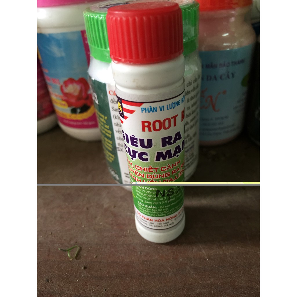 Kích thích ra rễ Root King 20ml