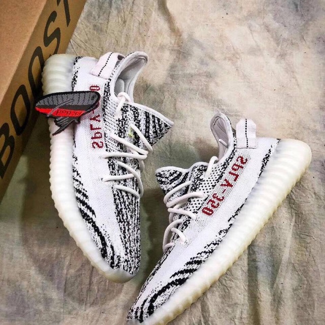pk god zebra