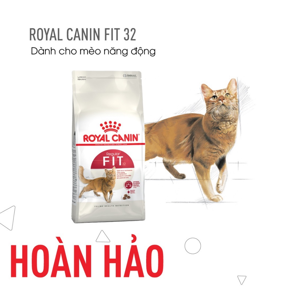 Thức ăn hạt Royal Canin FIT 32 dành cho Mèo Trưởng Thành vận động nhiều, túi 400g