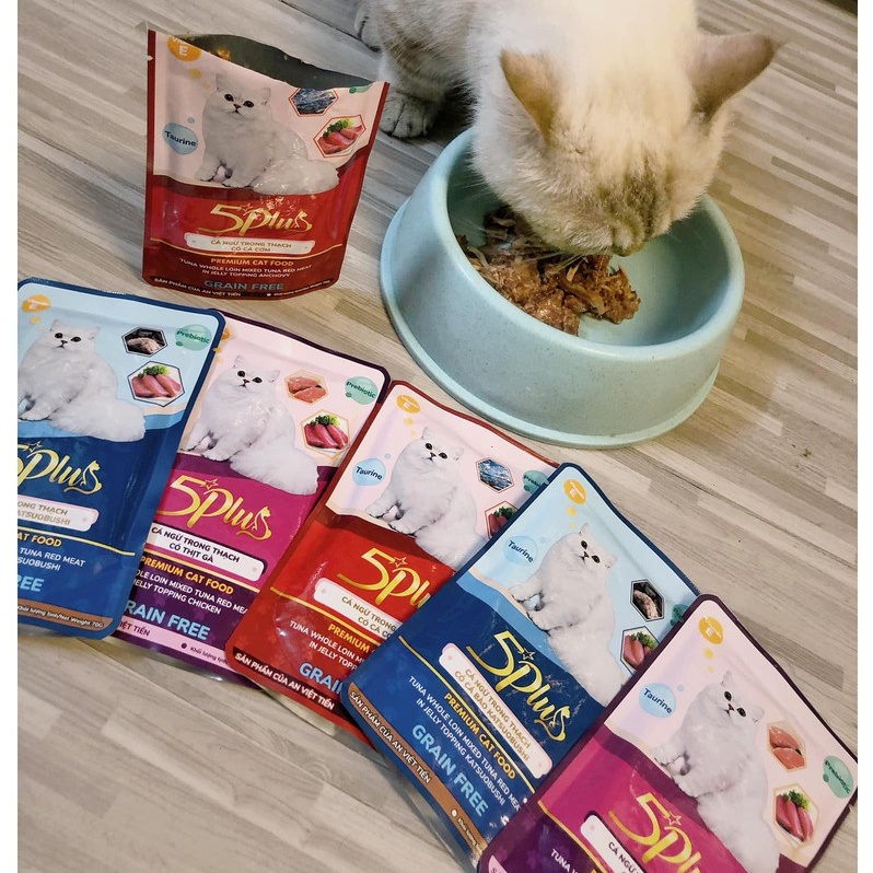 Pate Cho Mèo 5Plus &amp; 5Plus Catchy Premium Cat Food Gói 70g