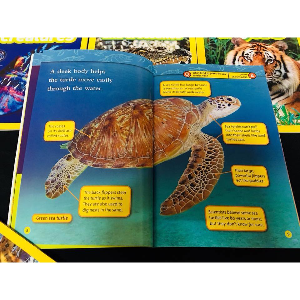 Bộ nhập - National Geographic Kids (Level 2 - 36 Quyển)