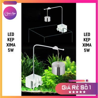 ĐÈN LED RỌI HỒ CÁ THỦY SINH XINMA 5W