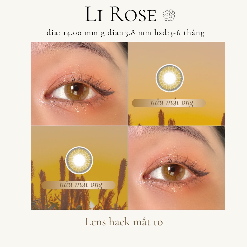 Kính áp tròng màu nâu mật sáng Li Rose Brown giãn tròng giúp mắt to và tròn
