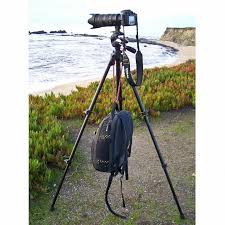 GẬY TRIPOD 3120,LOẠI XỊN ,LOẠI TỐT-TOP CITY | BigBuy360 - bigbuy360.vn