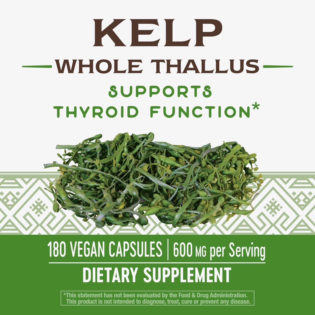 Nature's Way Kelp Support Thyroid Function 600mg - Viên uống hỗ trợ tuyến giáp 180 viên