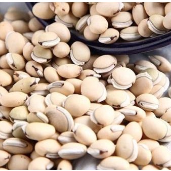 1 kg hạt đậu ván trắng