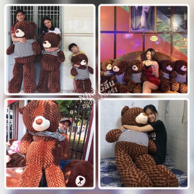 Gấu bông Teddy áo thun - Hàng đẹp- Hình thật