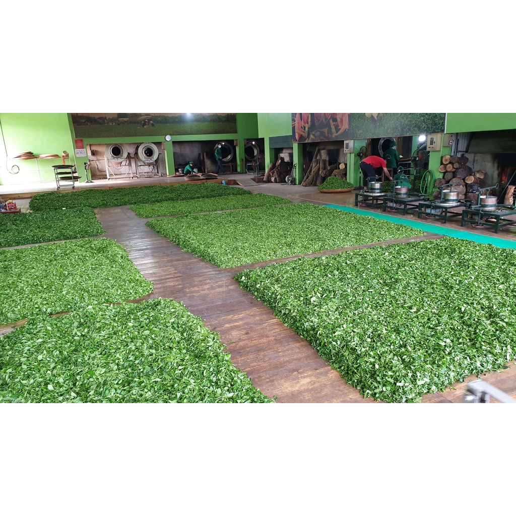 Chè Móc Câu Thái Nguyên Tân Cương HẢO ĐẠT Hộp Trà Ấm Xanh 200g/ 1hộp