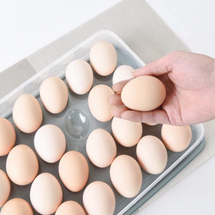 Khay đựng trứng 24 quả nhựa trắng trong suốt, hộp đựng trứng nhựa Việt Nhật