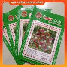 HẠT GIỐNG CÚC BẠCH NHẬT NHIỀU MÀU GÓI 50 HẠT