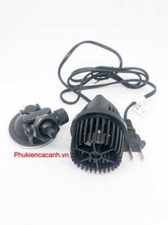 Thổi luồng bể cá