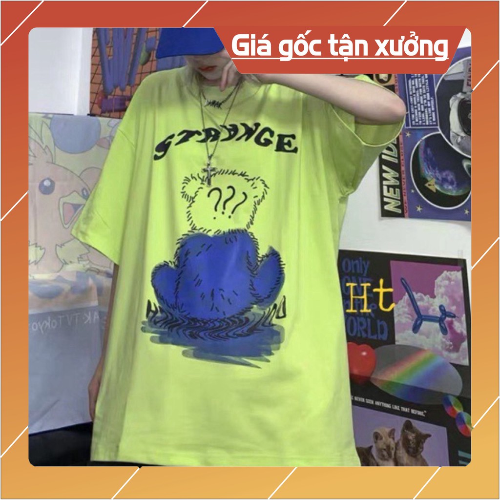 Sét áo gấu xanh + quần đùi đen HT12