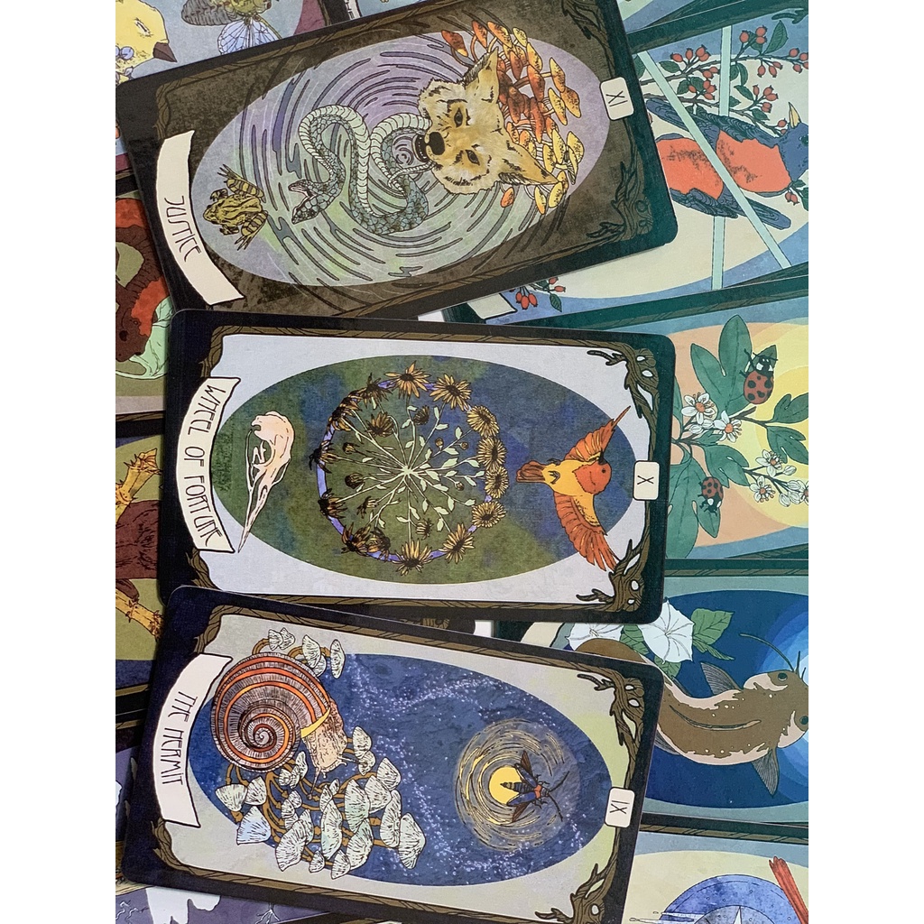 Bộ bài The Forager's Daughter Tarot 78 lá phiên bản đầu tiên size gốc