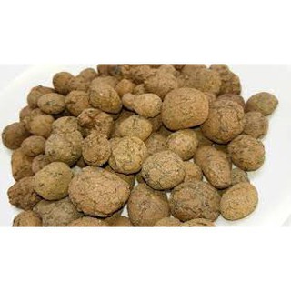 VIÊN ĐẤT NUNG (SỎI NHẸ) SFARM 5DM3 (KT 10-20MM)